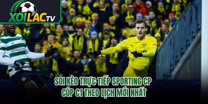 Soi Kèo Trực Tiếp Sporting CP Cúp C1 Theo Lịch Mới Nhất